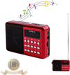 RADIO LETTORE MP3 MINI SPEAKER PORTATILE CON FLASH DRIVER TF CARD DISPLAY LED Elettronica/Audio e video portatile/Radio Trade Shop italia - Napoli, Commerciovirtuoso.it