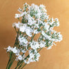 Rami Fiori Nebbiolina Artificiale 12 Pezzi Bianchi Finte Gypsophila Decorazioni Fiori Finti Trade Shop italia - Napoli, Commerciovirtuoso.it