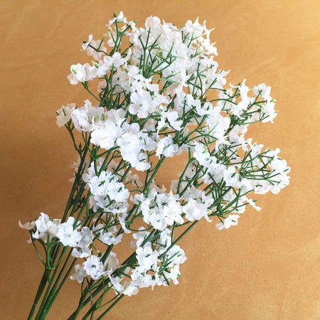 Rami Fiori Nebbiolina Artificiale 12 Pezzi Bianchi Finte Gypsophila Decorazioni Fiori Finti Trade Shop italia - Napoli, Commerciovirtuoso.it