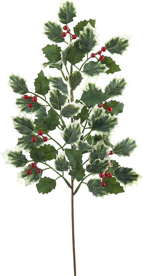 Ramo Agrifoglio Prix decorazione natalizia per interno h 48 cm Casa e cucina/Decorazioni per interni/Addobbi e decorazioni per ricorrenze/Decorazioni natalizie/Ghirlande e corone MagiediNatale.it - Altamura, Commerciovirtuoso.it