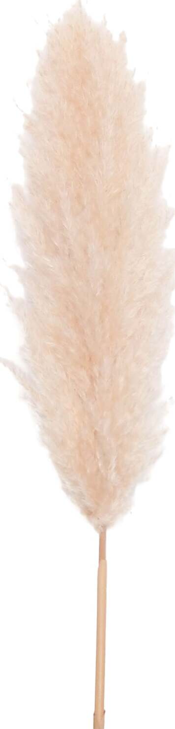 Ramo decorativo Stelo Pampas Essiccata color Avorio per composizioni floreali da 160 cm Casa e cucina/Decorazioni per interni/Addobbi e decorazioni per ricorrenze/Decorazioni natalizie/Ghirlande e corone MagiediNatale.it - Altamura, Commerciovirtuoso.it