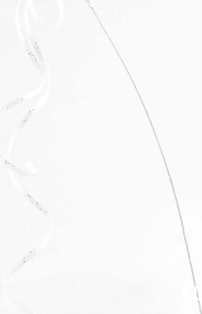 Ramo filante con glitters per albero di natale e decorazioni natalizie h 155 cm Casa e cucina/Decorazioni per interni/Addobbi e decorazioni per ricorrenze/Decorazioni natalizie/Ghirlande e corone MagiediNatale.it - Altamura, Commerciovirtuoso.it