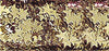 RAYHER---10ml---PAILLETTES-CON-FORMA-A-STELLA-IN-ALLUMINIO---COLORE-ORO