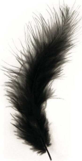 RAYHER---15-PEZZI---PIUMINI-SOFFICI-IN-VELCRO-10-15CM---COLORE-NERO