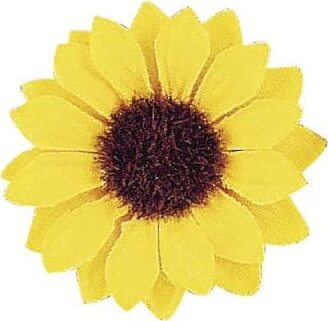 RAYHER---BOCCIOLI-DI-GIRASOLE-3,5CM-12PZ