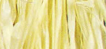 RAYHER---FASCIO-DI-RAFIA-NATURALE-25gr---COLORE-GIALLO