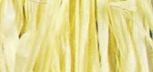 RAYHER---FASCIO-DI-RAFIA-NATURALE-25gr---COLORE-GIALLO