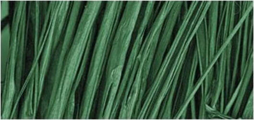 RAYHER---FASCIO-DI-RAFIA-NATURALE-25gr---COLORE-VERDE