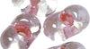 RAYHER---PAPILLON-DI-ROCALLIES-3,2X6,5MM-ROSA-CHIFFON-18GR