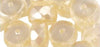 RAYHER---PERLA-IN-VETRO-RONDELLA-4X8MM-AVORIO-22PZ