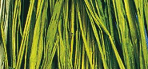 RAYHER---RAFIA-NATURALE-COLORE-VERDE-MAGGIO-MATASSINA-25GR.