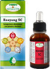 REAYANG®-5C-integratore-alimentare-Gocce-50-ml-Renaco