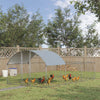 Recinto-per-Galline-da-Esterno-in-Acciaio-con-Telo-di-Copertura-in-PE-Anti-UV,-570x280cm-GT8D51-341V00SRGT8