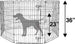 Recinzione In Metallo Per Cani Pieghevole Per Esercizio 152,4 X 152,4 X 91,4 Cm Prodotti per animali domestici/Cani/Cucce gabbiette e recinzioni/Recinti gioco Trade Shop italia - Napoli, Commerciovirtuoso.it