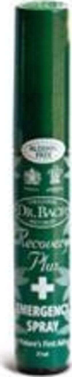RECOVERY-PLUS-EMERGENCY-Spray-21-ml-Santiveri-Ibersan