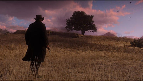 RED-DEAD-REDEMPTION-2-PS4-ES-USATO