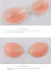 REGGISENO PUSH UP IN SILICONE INVISIBILE ANALLERGICO COPPETTE MODELLANTI UN BRA Moda/Donna/Abbigliamento/Abbigliamento da notte lingerie e intimo/Lingerie & Intimo/Reggiseni/Reggiseni adesivi Trade Shop italia - Napoli, Commerciovirtuoso.it
