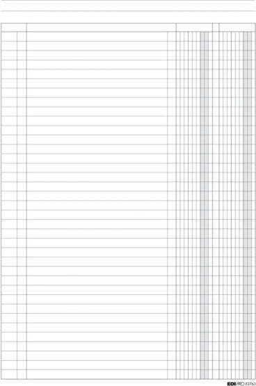 Registro a 2 colonne - 31 x 24cm - 100 fogli - Edipro Cancelleria e prodotti per ufficio/Archivio ufficio e accessori per scrivania/Modulistica e conservazione registri/Libri e registri contabili Eurocartuccia - Pavullo, Commerciovirtuoso.it