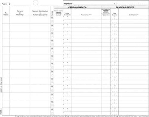 Registro carico-scarico equidi - 46 pagine numerate - 31 x 24 5 cm - DU138211000 - Data ufficio [multipack] 2 pezzi Cancelleria e prodotti per ufficio/Archivio ufficio e accessori per scrivania/Modulistica e conservazione registri/Libri e registri contabili Eurocartuccia - Pavullo, Commerciovirtuoso.it