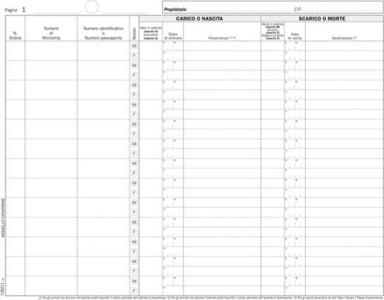 Registro carico-scarico equidi - 46 pagine numerate - 31 x 24 5 cm - DU138211000 - Data ufficio [multipack] 2 pezzi Cancelleria e prodotti per ufficio/Archivio ufficio e accessori per scrivania/Modulistica e conservazione registri/Libri e registri contabili Eurocartuccia - Pavullo, Commerciovirtuoso.it