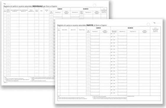 Registro carico-scarico ovini-caprini - 46 pagine numerate - 24 5 x 31 cm - DU138412000 - Data ufficio [multipack] 2 pezzi Cancelleria e prodotti per ufficio/Archivio ufficio e accessori per scrivania/Modulistica e conservazione registri/Libri e registri contabili Eurocartuccia - Pavullo, Commerciovirtuoso.it