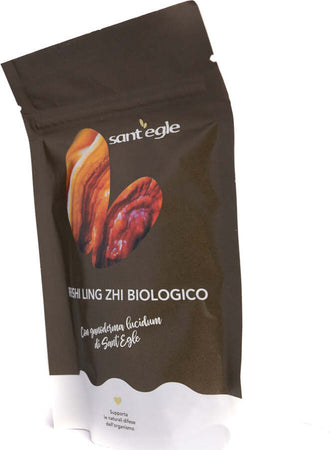 Reishi---Ganoderma-Lucidum-biologico,-90-capsule