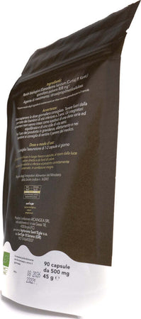 Reishi---Ganoderma-Lucidum-biologico,-90-capsule