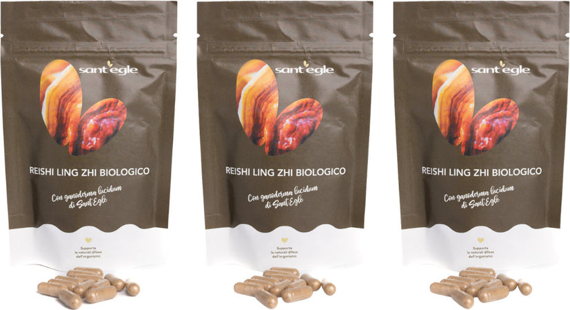 Reishi---Ganoderma-Lucidum-biologico,-90-capsule