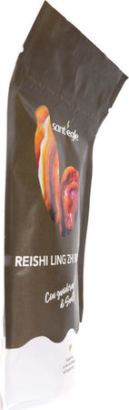 Reishi---Ganoderma-Lucidum-biologico,-90-capsule