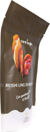 Reishi---Ganoderma-Lucidum-biologico,-90-capsule