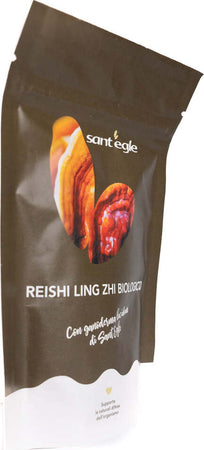 Reishi---Ganoderma-Lucidum-biologico,-90-capsule
