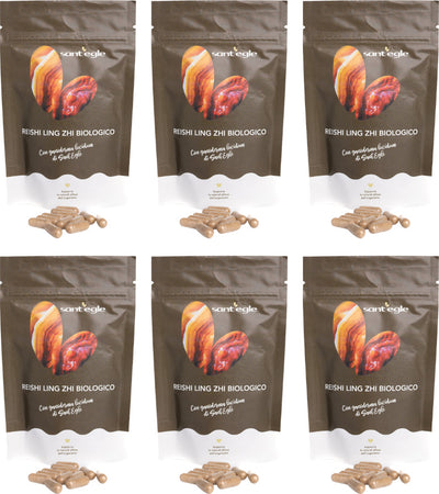 Reishi---Ganoderma-Lucidum-biologico,-90-capsule