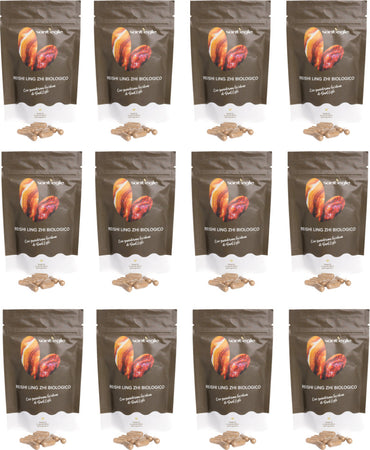 Reishi---Ganoderma-Lucidum-biologico,-90-capsule