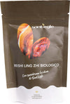Reishi---Ganoderma-Lucidum-biologico,-90-capsule