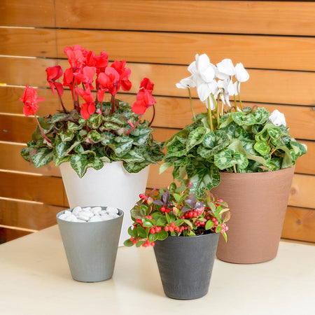 Vaso tondo "Estoril con riserva d'acqua" da esterno e giardino fiori e piante