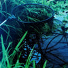 Rete Da Pesca Con Palo Alluminio Pesci Gamberi 36x140 Cm Kit Mare Lago Fiume Sport e Tempo Libero > Pesca > Retini > Sport Trade Shop italia - Napoli, Commerciovirtuoso.it