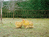 Rete per pollame 106 cm