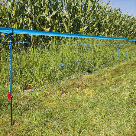 Rete recinto elettrico Blu per cinghiali h 90 cm x 50 mt Commercio Industria e Scienza/Attrezzature e forniture agricole/Strutture/Recinzioni La Zappa - Altamura, Commerciovirtuoso.it