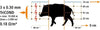 Rete recinto elettrico Blu per cinghiali h 90 cm x 50 mt Commercio Industria e Scienza/Attrezzature e forniture agricole/Strutture/Recinzioni La Zappa - Altamura, Commerciovirtuoso.it