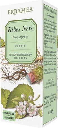 RIBES-NERO-Estratto-Idroalcolico-50-ml-Erbamea