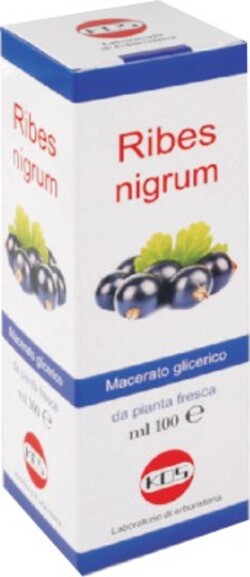 RIBES-NIGRUM-Macerato-Glicerico-100-ml-Kos