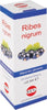 RIBES-NIGRUM-Macerato-Glicerico-100-ml-Kos