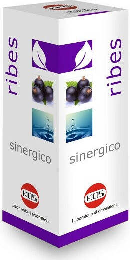 RIBES-SINERGICO-integratore-alimentare-100-ml-Kos