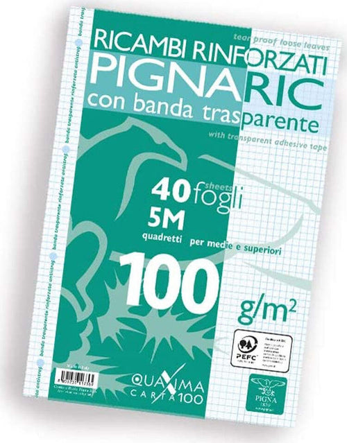 Ricambi-rinforzati-a4-100gr-5M-Pigna