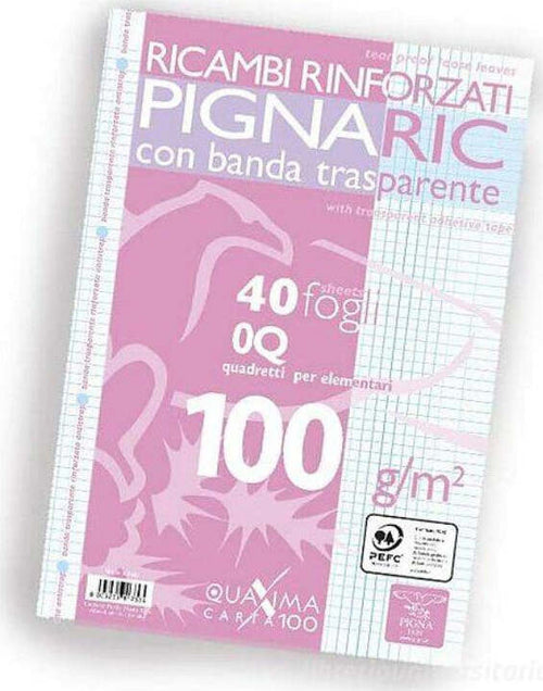 Ricambi-rinforzati-a4-100gr-Q-Pigna