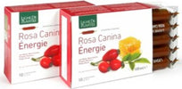 ROSA-CANINA-ENERGIE-BIO-integratore-alimentare-10-ampolle-da-10-ml-Natura-Service