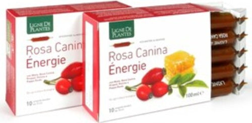 ROSA-CANINA-ENERGIE-BIO-integratore-alimentare-10-ampolle-da-10-ml-Natura-Service