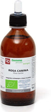 ROSA-CANINA-Macerato-Glicerinato-Bio-Gemme-200-ml-Fitomedical