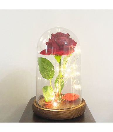 Rosa Eterna Incantata La Bella E La Bestia In Cupola Con Base Legno E Luci A Led
