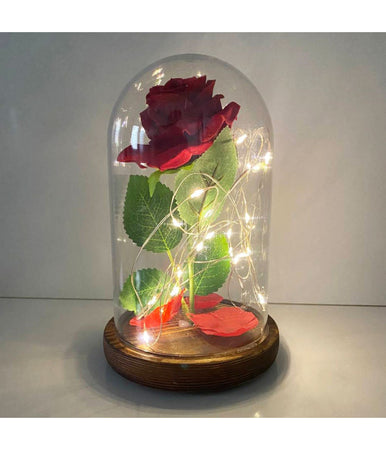Rosa Eterna Incantata La Bella E La Bestia In Cupola Con Base Legno E Luci A Led